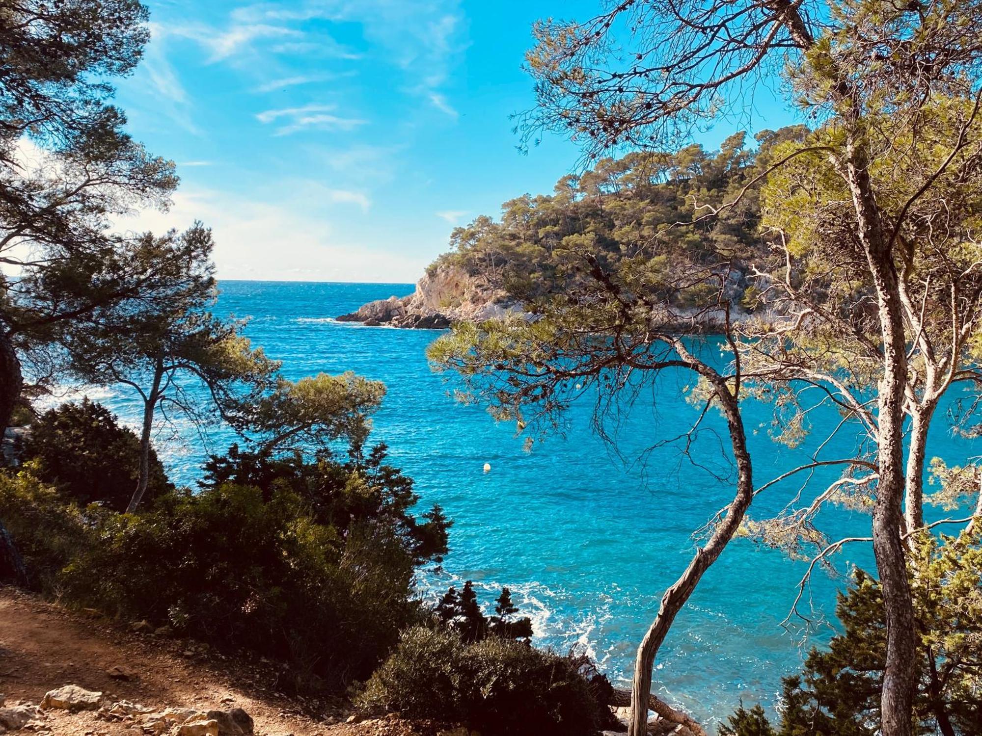 Lodge entre ciel et mer Saint-Cyr-sur-Mer Eksteriør billede